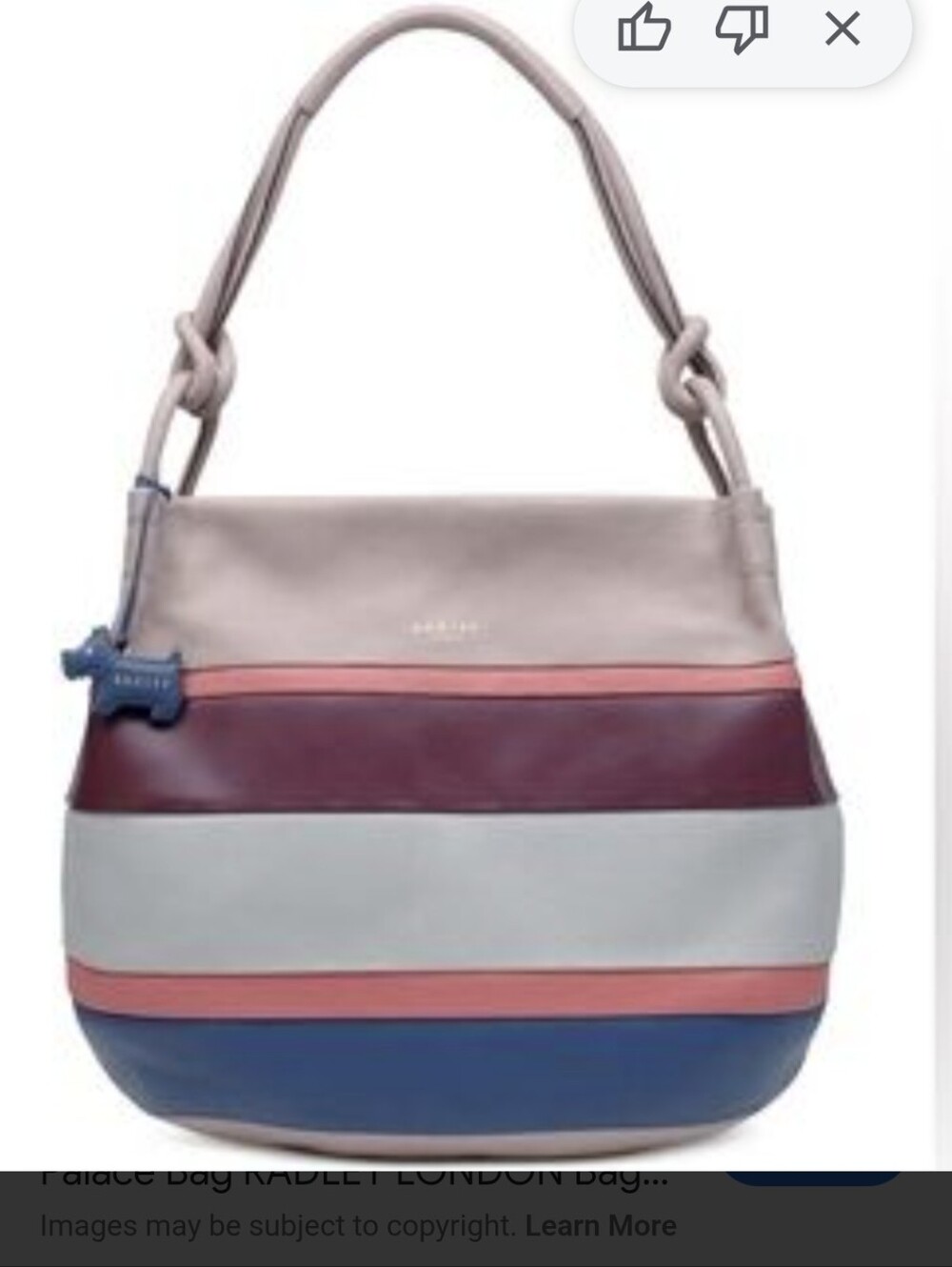 Radley London "WREN STREET" Multicolor Leather Stripe HOBO BAG